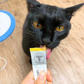 수린님이 올린 리뷰 사진 2