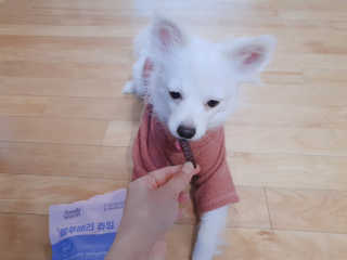 YouReena님이 올린 리뷰 사진 2