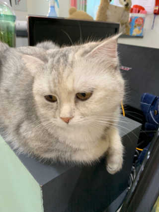 박코끼리님이 올린 리뷰 사진 2