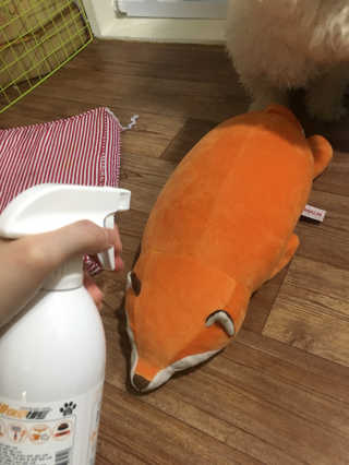 지은님이 올린 리뷰 사진 3