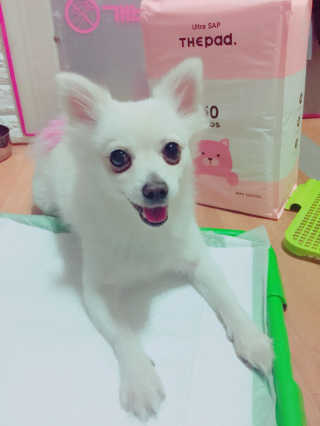 박민진님이 올린 리뷰 사진 1