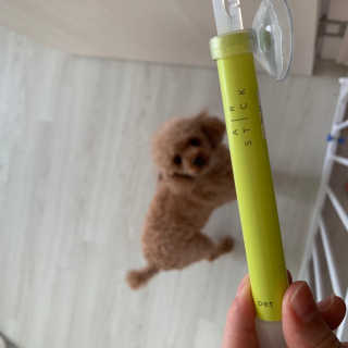 소리나리님이 올린 리뷰 사진 1