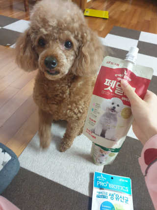 [빙그레] 에버그로 생유산균 1봉（10포입）+펫밀크2팩 — 5점을 준 리뷰어가 2019년 5월 올린 사용 사진