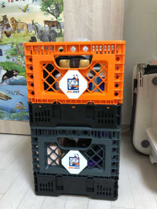 이쁜이님이 올린 리뷰 사진 1