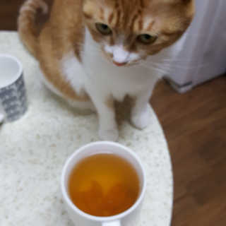 달님님이 올린 리뷰 사진 4
