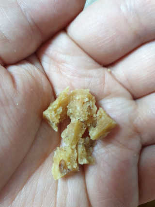 복수니님이 올린 리뷰 사진 2