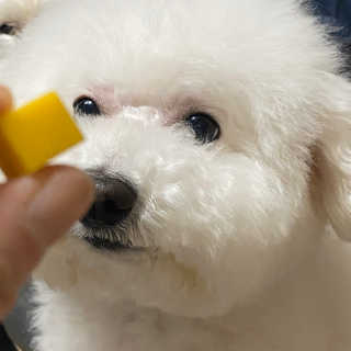 쏨님이 올린 리뷰 사진 2