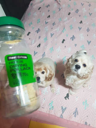 조소민님이 올린 리뷰 사진 4