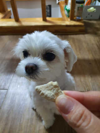 뽀오오옹님이 올린 리뷰 사진 3