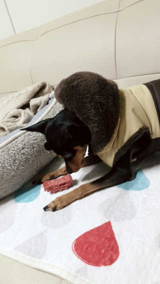 도도님이 올린 리뷰 사진 4