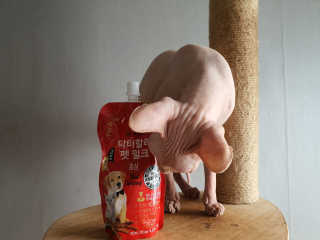 마뇨님이 올린 리뷰 사진 2