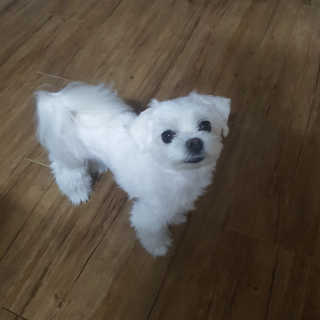 뽀오오옹님이 올린 리뷰 사진 2