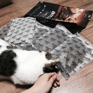 수딩수딩님이 올린 리뷰 사진 1