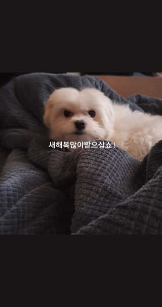 혜린님이 올린 리뷰 사진 3