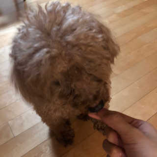 ReginaKwak님이 올린 리뷰 사진 2