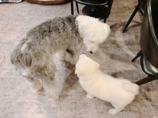 diddo님이 올린 리뷰 사진 4