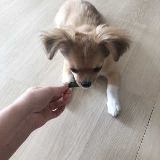 가은님이 올린 리뷰 사진 1