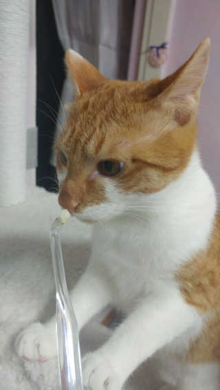 Jaehoon.y님이 올린 리뷰 사진 4