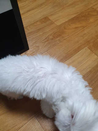 두부맘님이 올린 리뷰 사진 2