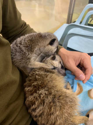 유민지님이 올린 리뷰 사진 3