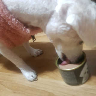 똘이님이 올린 리뷰 사진 2