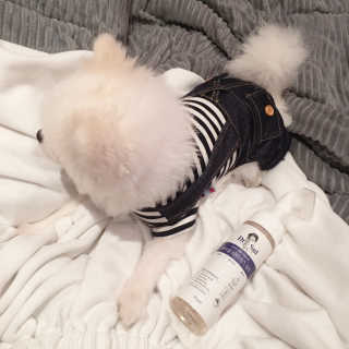 백설님이 올린 리뷰 사진 1
