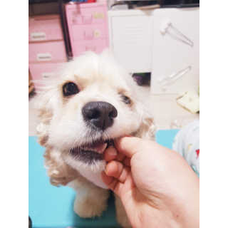 조소민님이 올린 리뷰 사진 3