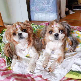 베베츄님이 올린 리뷰 사진 1