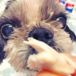 김선영님이 올린 리뷰 사진 3
