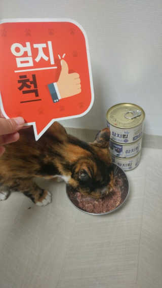 Jaehoon.y님이 올린 리뷰 사진 1