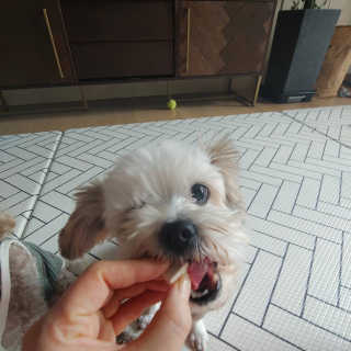 sdlove숑봉님이 올린 리뷰 사진 2