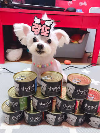 [펫토리아] 한캔뚝딱 강아지 주식캔 12종 콤보 — 5점을 준 리뷰어가 2019년 8월 올린 사용 사진