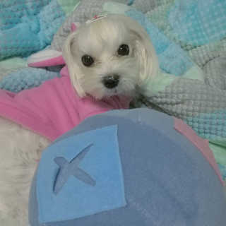 alllove님이 올린 리뷰 사진 1
