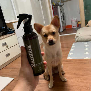 보리언니님이 올린 리뷰 사진 2