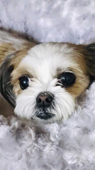 혜유닝님이 올린 리뷰 사진 3