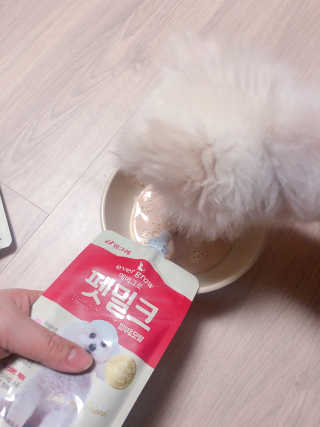 [빙그레] 에버그로 생유산균 1봉（10포입）+펫밀크2팩 — 5점을 준 리뷰어가 2019년 3월 올린 사용 사진