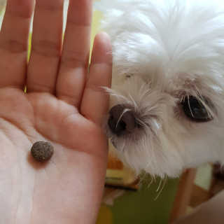 엘비스님이 올린 리뷰 사진 3