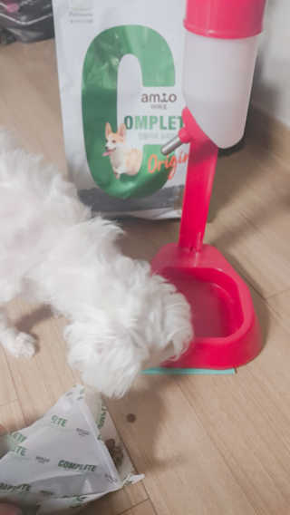 gajete님이 올린 리뷰 사진 1