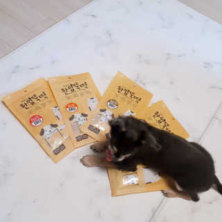 [펫토리아]짜먹는 한입뚝딱 강아지.고양이 마약간식 — 1점을 준 리뷰어가 2019년 8월 올린 사용 사진