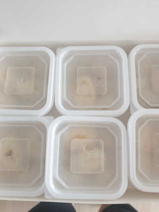 빵가게주인님이 올린 리뷰 사진 3
