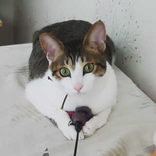 다다님이 올린 리뷰 사진 3