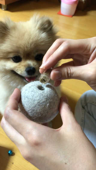 berryjjung님이 올린 리뷰 사진 2