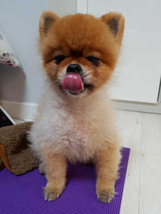 성유진님이 올린 리뷰 사진 2