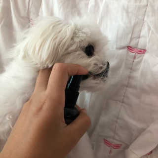 율리킴님이 올린 리뷰 사진 3