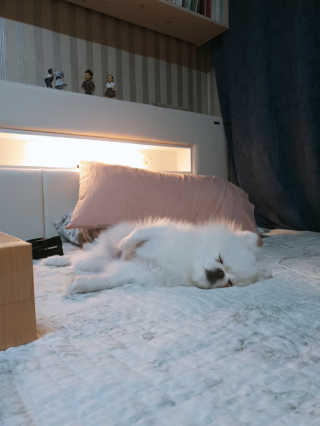 황선아님이 올린 리뷰 사진 3