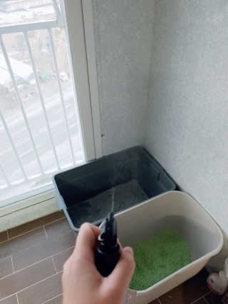 해롱님이 올린 리뷰 사진 3