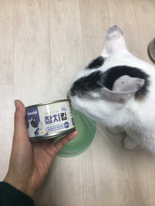루시강님이 올린 리뷰 사진 1