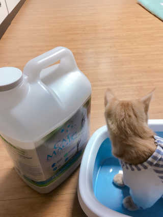 jiiiii님이 올린 리뷰 사진 4