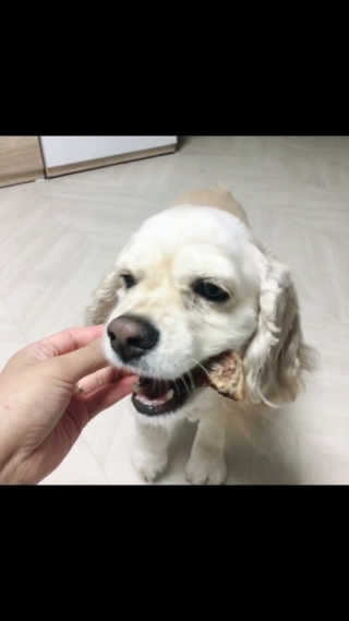 뽀니님이 올린 리뷰 사진 2