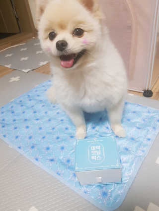 뚱이땅콩맘님이 올린 리뷰 사진 3
